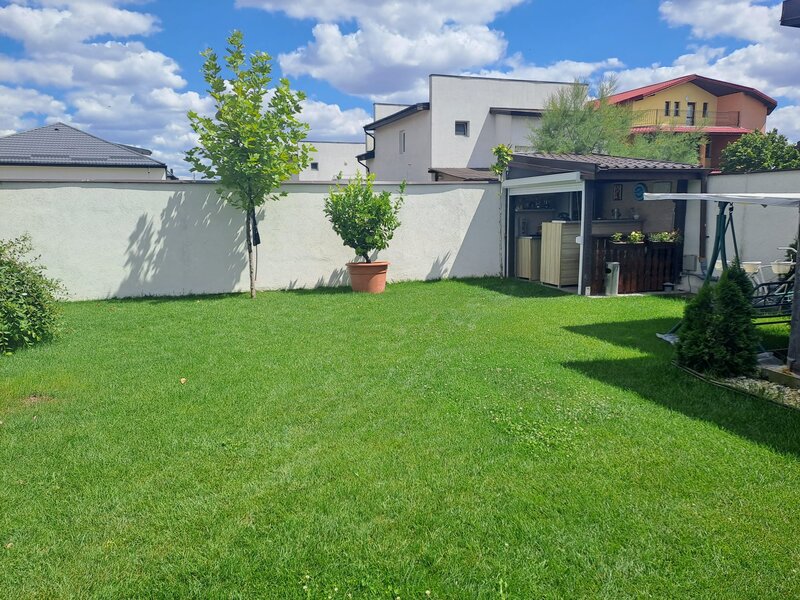 Domnesti, proprietar, strada Fortului.